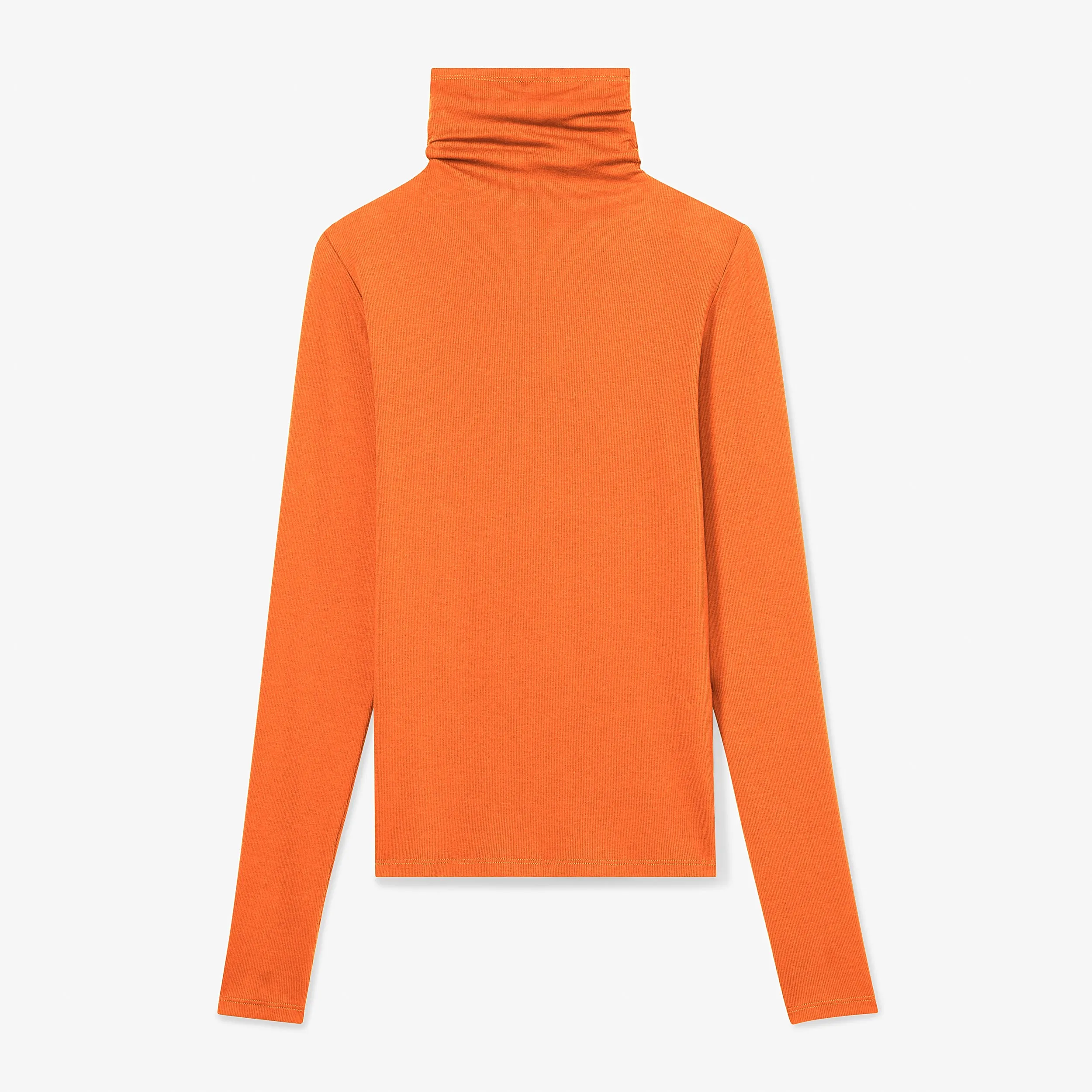 Axam Turtleneck - Ribbed Pima Cotton :: Clementine