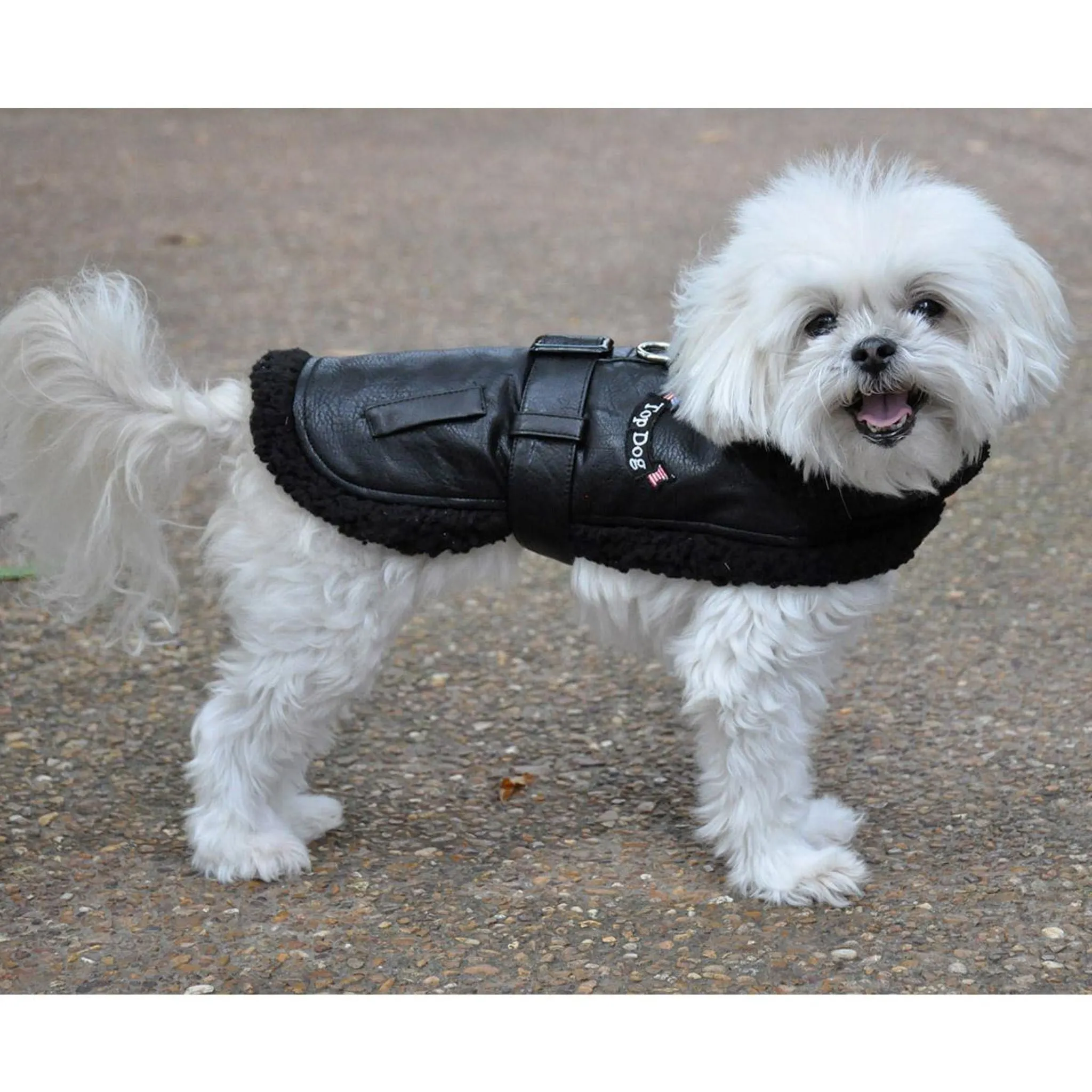 Top Dog Flight Harness Coat